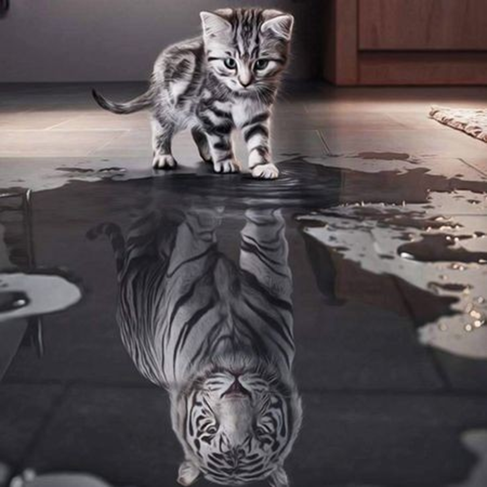 碎念个人引导页